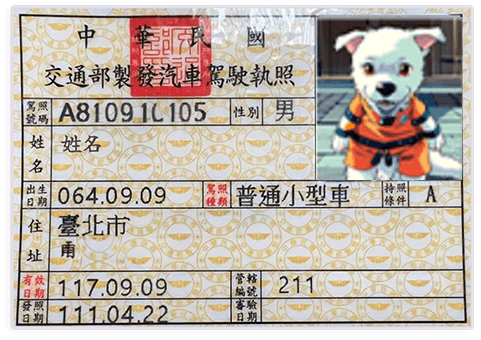 Belgium Driver's License